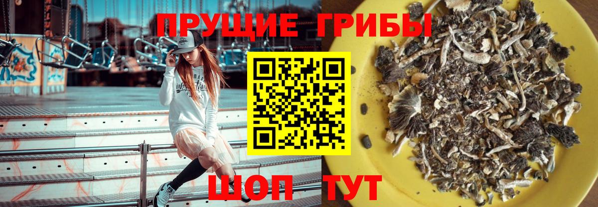 Псилоцибиновые грибы прущие грибы Кемерово