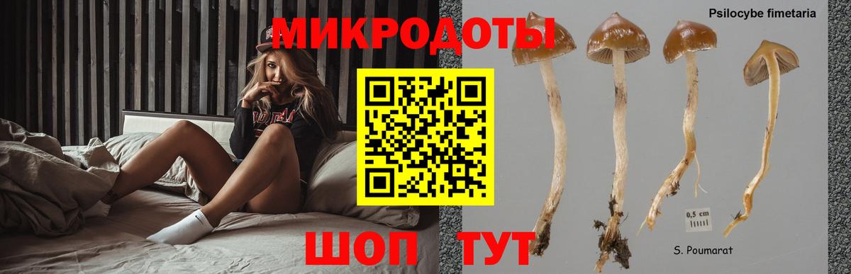 Галлюциногенные грибы ЛСД  Вход с VPN  Кемерово 